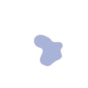 A81fac0e-placeholder-1770039494