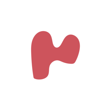 6adcac89-placeholder-1769874544