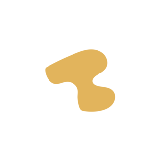 B43a306c-placeholder-1770006870