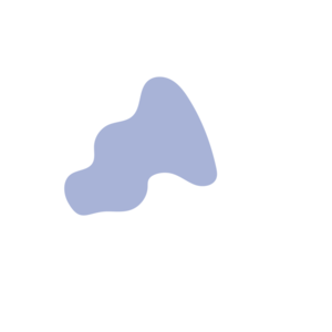 64c3111d-placeholder-1770020012