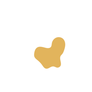 C6a51d40-placeholder-1770011552