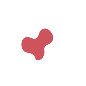 Af074edf-placeholder-1770032457