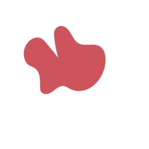 54e8f132-placeholder-1770143949