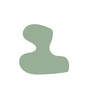 1b74e24a-placeholder-1770021607