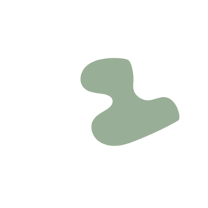 A4bc1aca-placeholder-1769258857