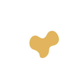 650579d1-placeholder-1770011102