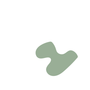 Cfbee125-placeholder-1769405193