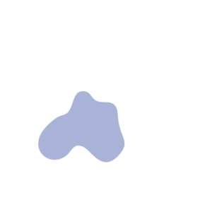 55b9d07f-placeholder-1770029379