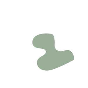 A1e4a9d0-placeholder-1770007357