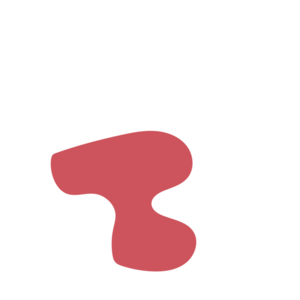 Eb8957cf-placeholder-1770007606