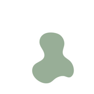 A83d567f-placeholder-1770014155