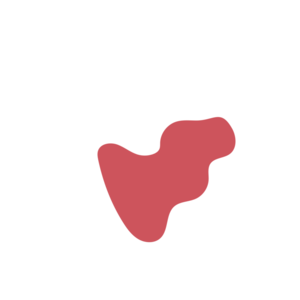 C123bb0f-placeholder-1770061870