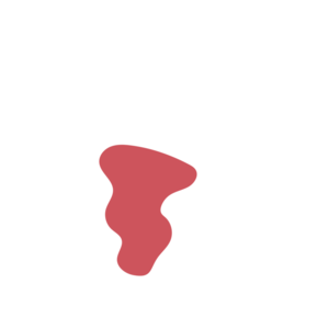 A20efc58-placeholder-1770018333