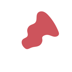 D3bbd081-placeholder-1770005120