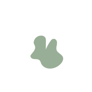 929a74e4-placeholder-1770005993