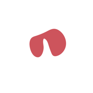 897c1eac-placeholder-1770009122