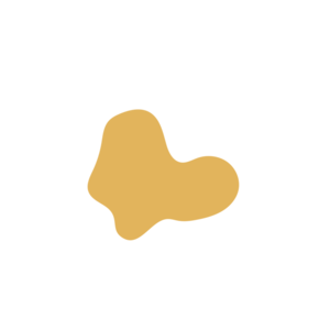 6ecb96d4-placeholder-1769641109