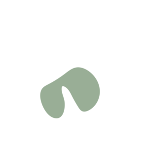 Cd8b2c2d-placeholder-1770019615