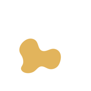 0a5c79b1-placeholder-1770030538