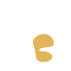 0c2b52a9-placeholder-1770005607