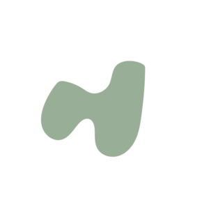 D33b2162-placeholder-1770084934