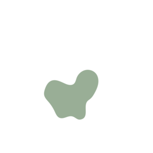 5160f440-placeholder-1770025733