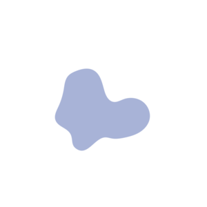 C0bf581d-placeholder-1770012645