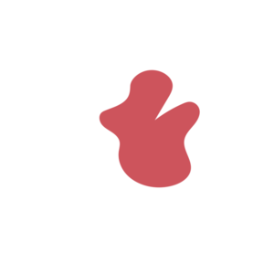 856af63e-placeholder-1770012648