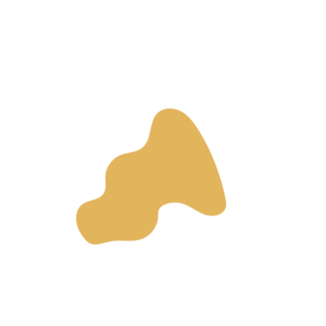 Ff2f52b8-placeholder-1770012365