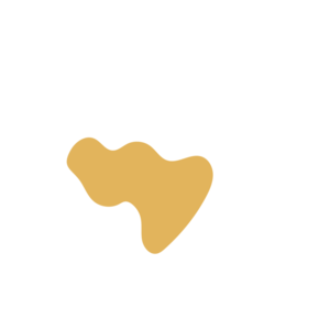 12c764a6-placeholder-1770047310