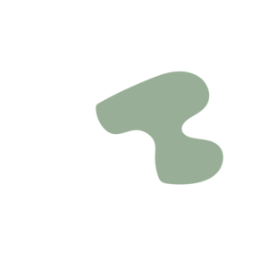 F31b9099-placeholder-1770017672