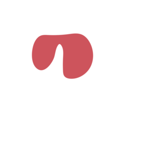 32776512-placeholder-1769023028