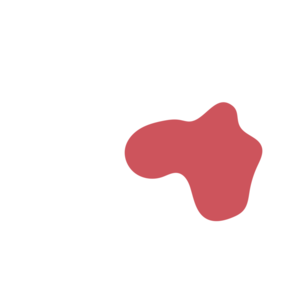 3e5bf4b4-placeholder-1770014407