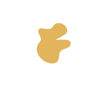 29ee95b9-placeholder-1770015226