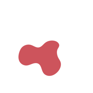 F2256369-placeholder-1770024567