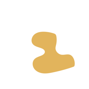 13a0e2e9-placeholder-1770014156