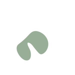 533c5ed7-placeholder-1770013913