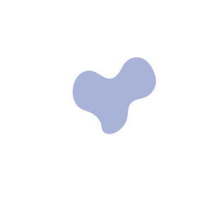 2c16d701-placeholder-1770054241