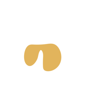 87e3336c-placeholder-1770019893