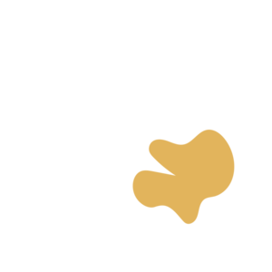 F7940e74-placeholder-1770143976