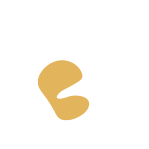 78f40d9d-placeholder-1770013886