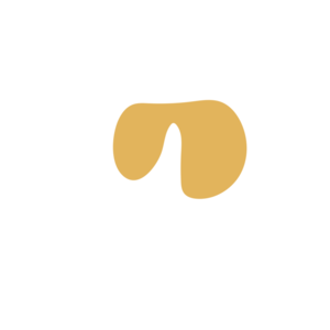 87643485-placeholder-1770005381