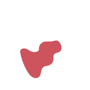 1c8dcf91-placeholder-1770015608