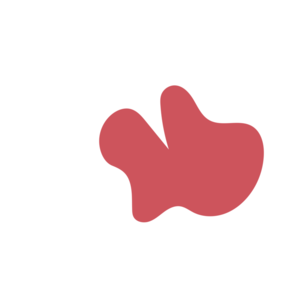 F484fe98-placeholder-1770004792