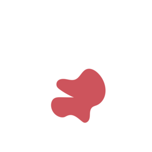 1cb8bad4-placeholder-1770010659