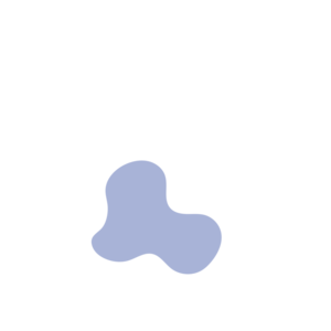 5a6e14a1-placeholder-1770047308