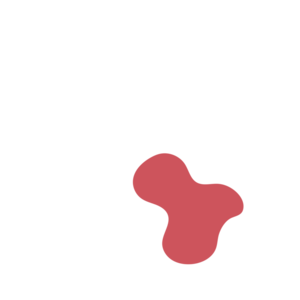 576b9b48-placeholder-1770008357
