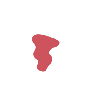 8aff4d95-placeholder-1769521767