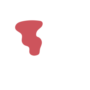 54656f50-placeholder-1770005112