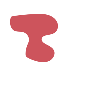 05a37da7-placeholder-1770006583